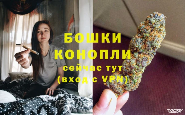 стафф Мегион